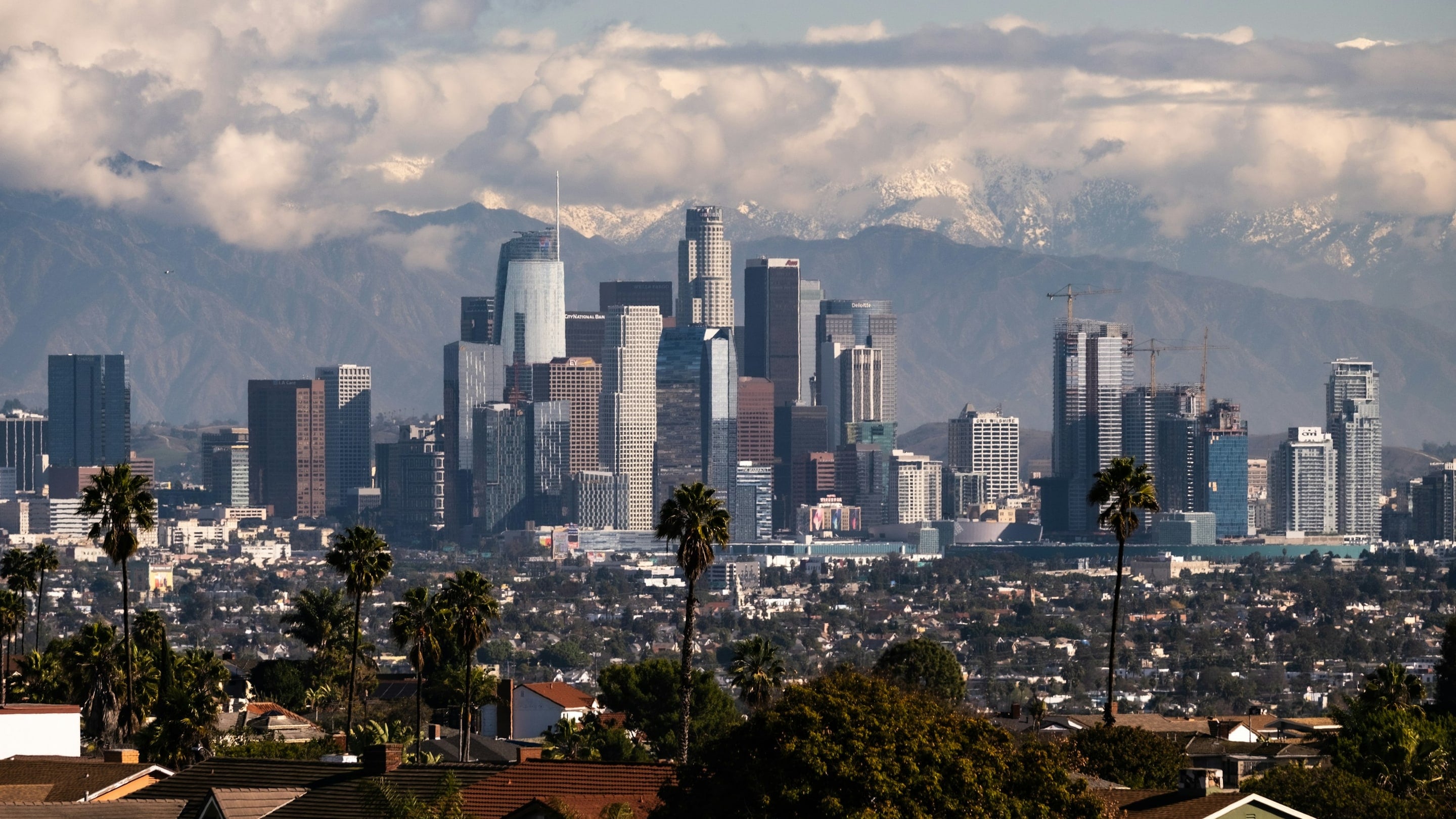 Downtown Los Angeles skyline with palm trees and the San Gabriel Mountains