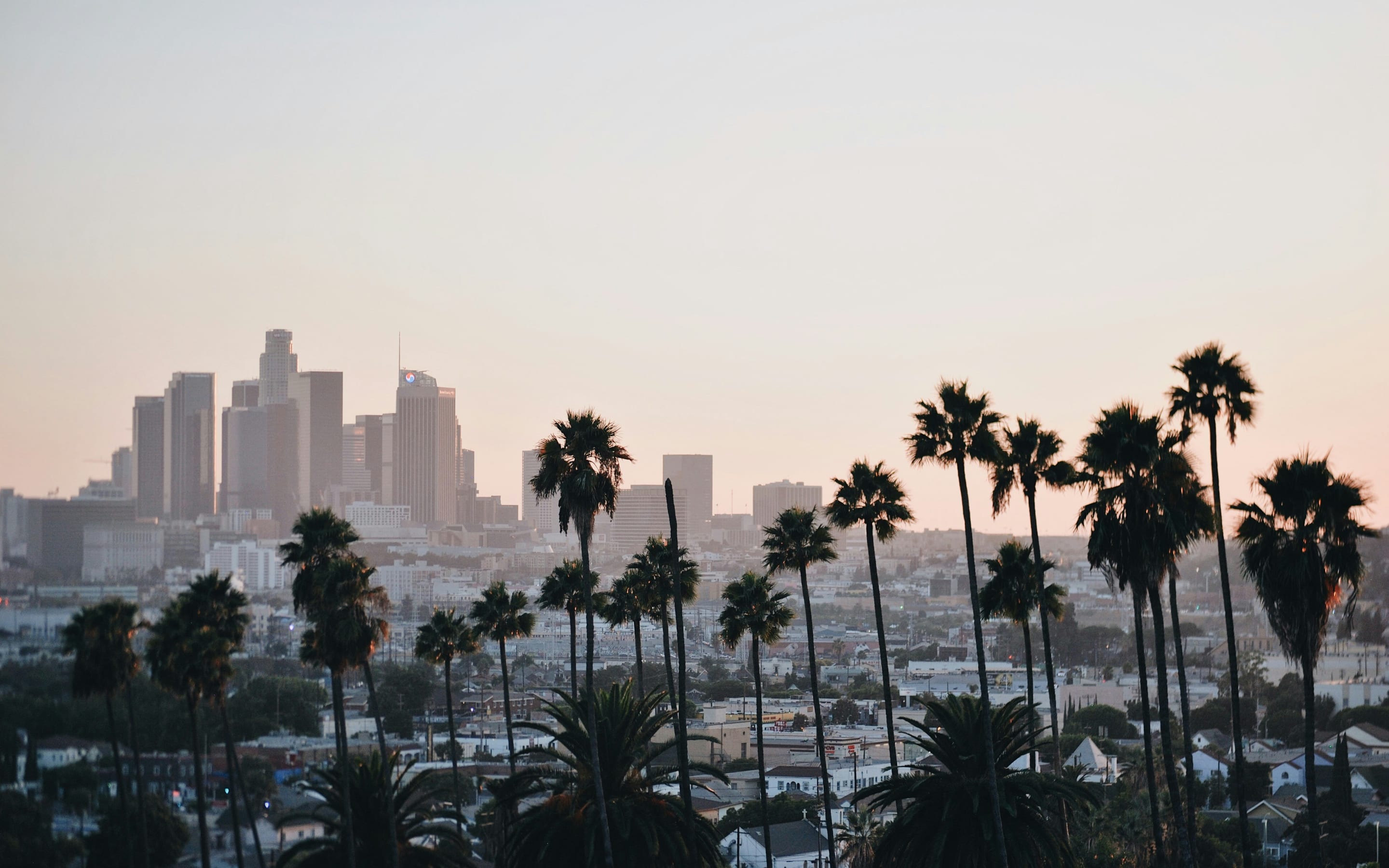 Los Angeles skyline with palm trees at dusk