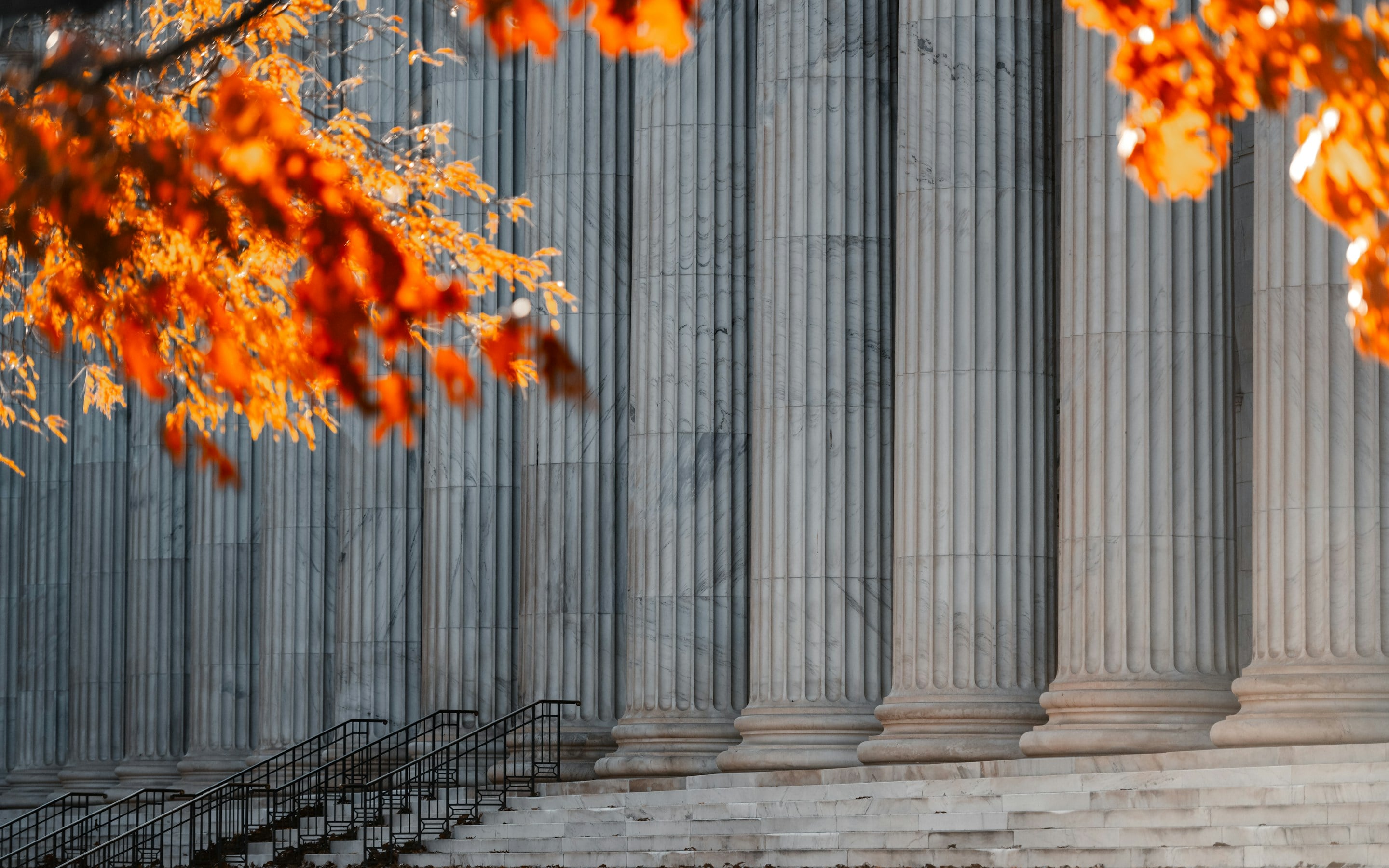 Courthouse columns behind laurel foliage