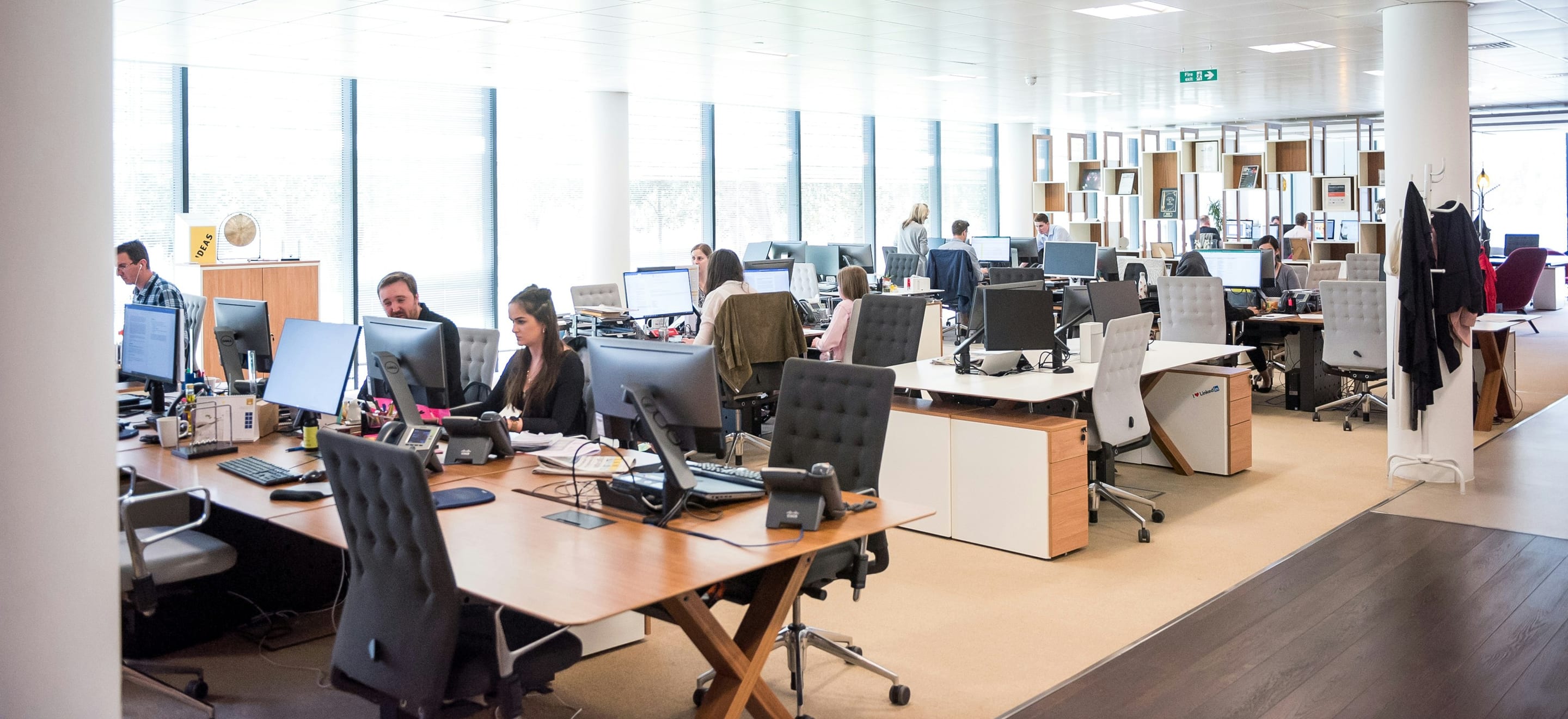 A full open-plan office with every desk in use